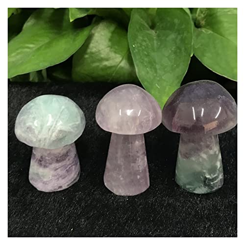 Statue de champignon en fluorite naturelle brute sculptée main pour déco unique - 4