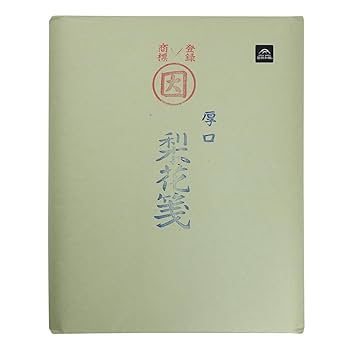 Amazon.co.jp: 漢字用半切 梨花箋 厚口 100枚 因州和紙 : 文房具