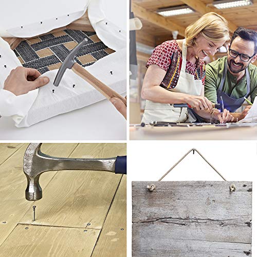 Coceca 200 Pack Hardware Nails for Hanging Pictures, 4 Size Zinc Tiny