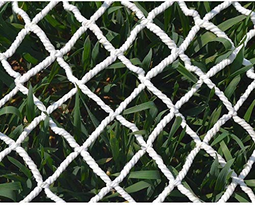 ZHAS Multifunctional Portable Net Mesh Sports Net Net Net Mesh For Garden Gardening Plant Growth Vines (Color: 6 * 10m)