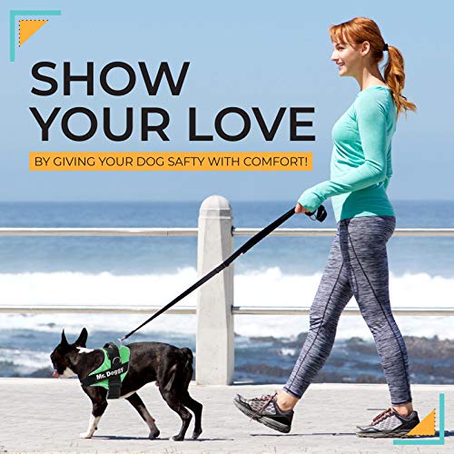 SUPER DOGGY Personalisiertes Hundegeschirr - Reflektierendes und sicheres Hundegeschirr - Enthält 2 Namensschilder, Klein, Mittel und Groß - Qualität und Beständigkeit (Verde, XS 3-7KG)