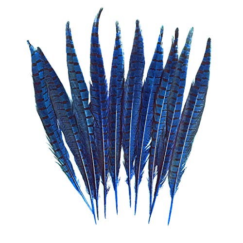Lot de 10 plumes de faisan naturelles colorées de 30 à 35 cm pour décoration de fête de mariage, accessoires de loisirs créatifs (bleu) Cover