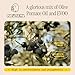 Graza Frizzle High Heat Cooking Oil - High Polyphenol Oil with a Neutral Flavor in a Squeeze Bottle for Frying, Baking & Grilling - Cooking Oil Made from 100% Olives- 25.3 Fl Oz (750ml)
