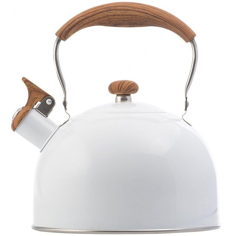 Bouilloire sifflet 2,5 L inox à ébullition rapide et poignée froide ergonomique