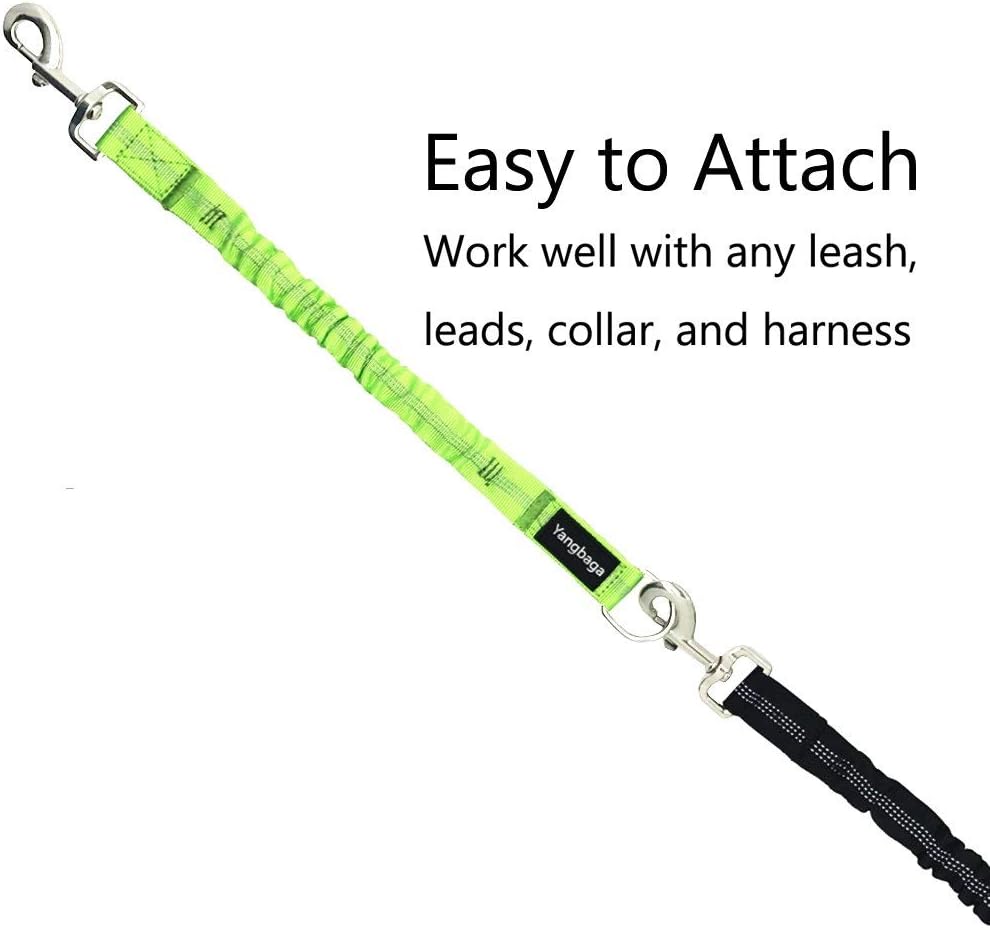 Yangbaga Dog Leash Extender, Shock Absorber Bungee Leash Attachment, Durable Nylon Dog Tie Out Leash Extension with Stainless Steel Swivel Clips (Green, 13.4’’-16.5’’)