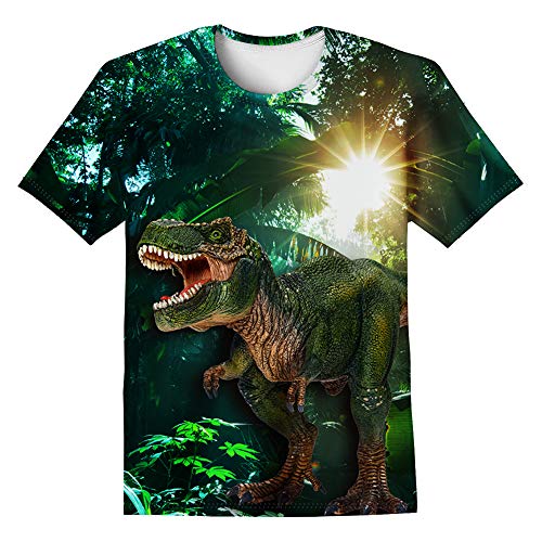 Image of LAIDIPAS Boys Girls 3D Graphic T-Shirt Short Sleeve Tops Tees 6-16 Years