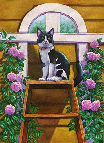 NC56 Peinture par numéro Kits Toile Bricolage Peinture à l'huile pour Enfants étudiants Adultes débutant Noir Smoking Chat dans Le Jardin 40X50Cm Cover