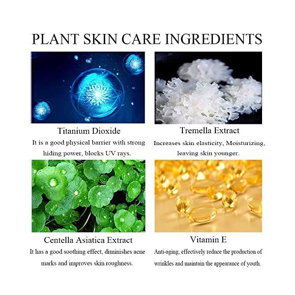 Air Cushion CC Cream Mushroom Head Foundation, Moisturizing BB Cream Makeup Long Lasting Matte Concealer (Ivory)