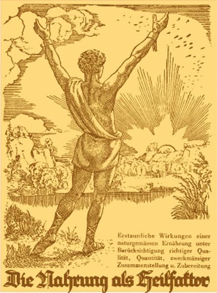 Die Nahrung als Heilfaktor: Erstaunliche Wirkungen einer naturgemässen Ernährung unter Berücksichtigung richtiger Qualität, Quantität, zweckmässiger Zusammenstellung und Zubereitung