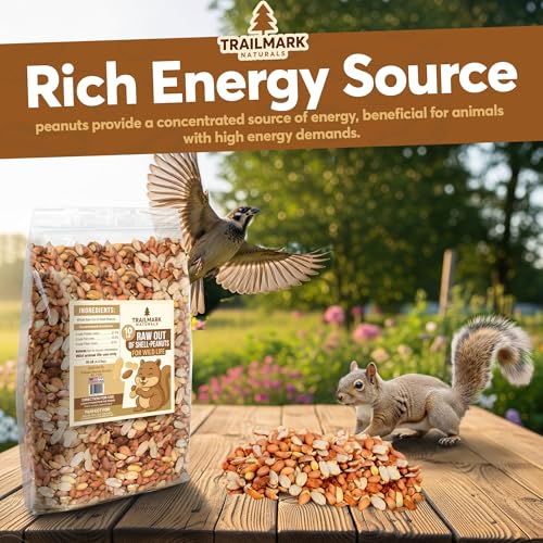 45 LB - Raw Shelled Peanuts For Squirrels, Out of Shell Peanuts For Birds and Wildlife- Squirrel Food, Wild Bird Seed - Grown in The USA