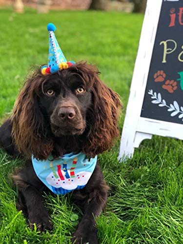 Dog Birthday Bandana Hat Scarf Dog Birthday Party Supplies Triangle Scarf with 0-8 Numbers - Image 7