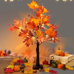 2024 Fall Decor, 26in Maple Trees with Lights, USB/Battery Autumn Decor Fall Decorations for Home, Thanksgiving Decorations Fall Home Decor,24LED Fall Tree with Lights for Fall Kitchen Room Decor