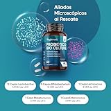 Probióticos y Prebióticos Intestinales 77 Mil Millones de UFC -...