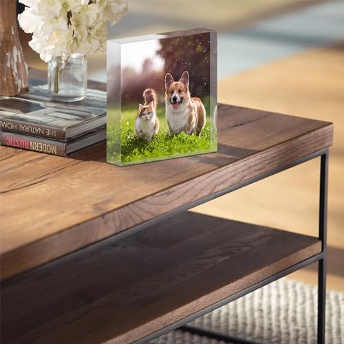 TULLUN Personalisierte Individuelle Benutzerdefinierte Haustier Denkmal Hund Katze Tier Acryl Kristall Klar Block Plaque Plakette Foto Text Name Datum - Vollständiger Druck 3D Effekt