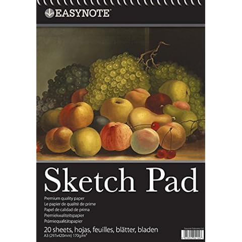 Easynote A3 Artists Sketch Pad (Design may vary) Cover