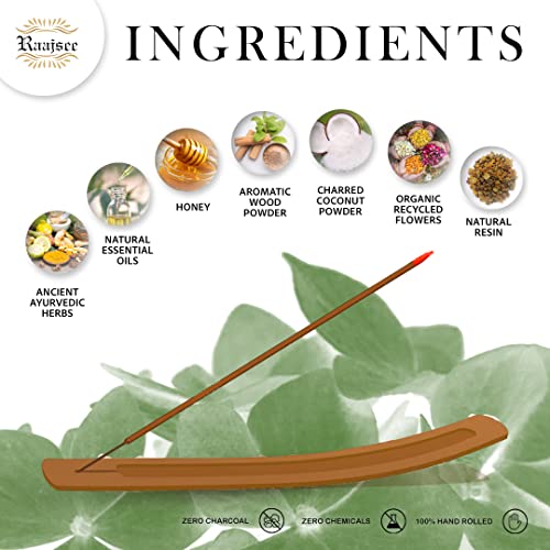 Image of Raajsee Incense Sticks Eucalyptus 100 gm Pack-100% Pure Organic Natural Hand Rolled Free from Chemicals-Perfect for Church, Aromatherapy,Relaxation,Meditation,Positivity & Sensual Therapy
