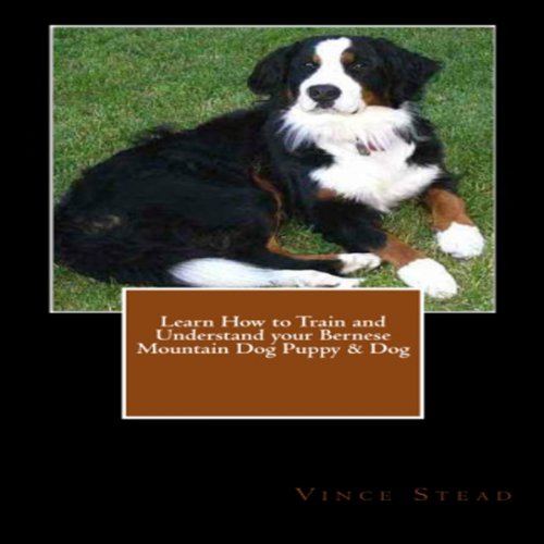 Learn How to Train and Understand Your Bernese Mountain Dog