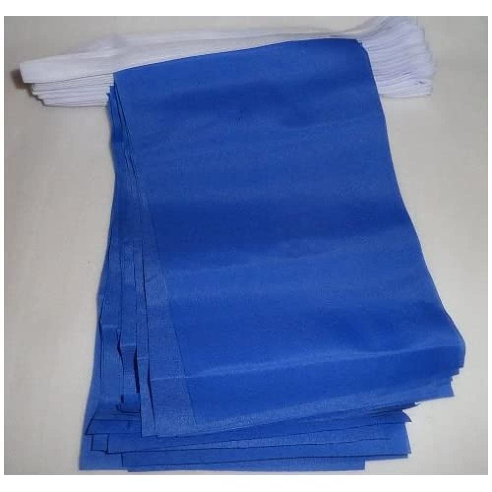 AZ FLAG Plain Blue Bunting 20 ft 20 flags Light Polyester