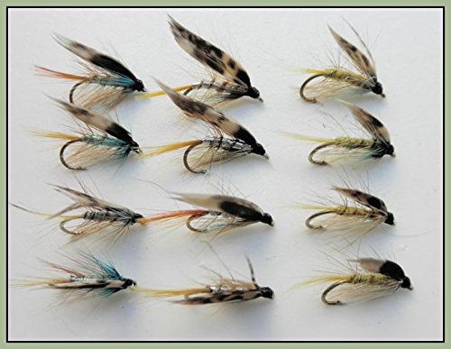 12 Wet Fishing Flies - Invicta, Silver Pearl and Standard (12/14)