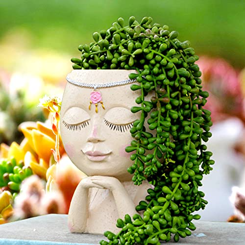 Face Planters Pots Head Planter, Small Plant Pots, Cute Plant Pot, Planters For Indoor Plants, Outdoor Flower Pot, Face Vase For Home Decor, Unique Succulent Pots With Drainage Hole (No Succulents) #TOP9