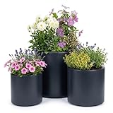 Prosperplast Blumentopf - Übertopf mit Einsatz | aus robustem Kunststoff | für...