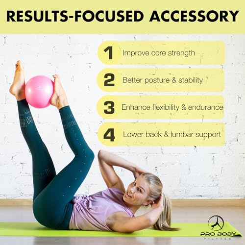 ProBody Pilates Ball, Kleiner Gymnastikball, 9-Zoll-Barre-Ball, Trainingsball für Stabilität, Barre, Bauch, Rumpf, Physio- und Physiotherapieball für das Fitnessstudio (Silber)