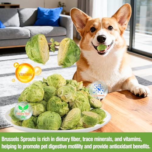 Freeze Dried Brussels Sprouts for Dog, Single Ingredient, Nutrient Rich, Low Calorie Dog Treats Snack, Also for Rabbits, Birds, Turtles & Guinea Pigs - Image 3