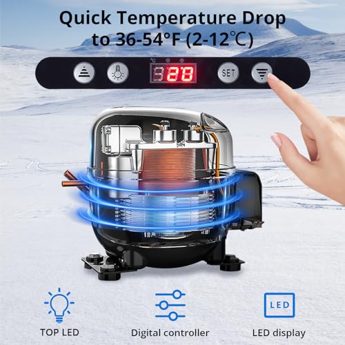 Garvee Commercial Refrigerator - Small Space Glass Door Merchandiser, 2 Cu.Ft Display Refrigerator with Bright LED Lighting & Adjustable Storage for S