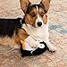 TrustyPup Strong 'N Silent Penguin Silent Squeak Plush Dog Toy, Chew Guard Technology - Black/White, Medium