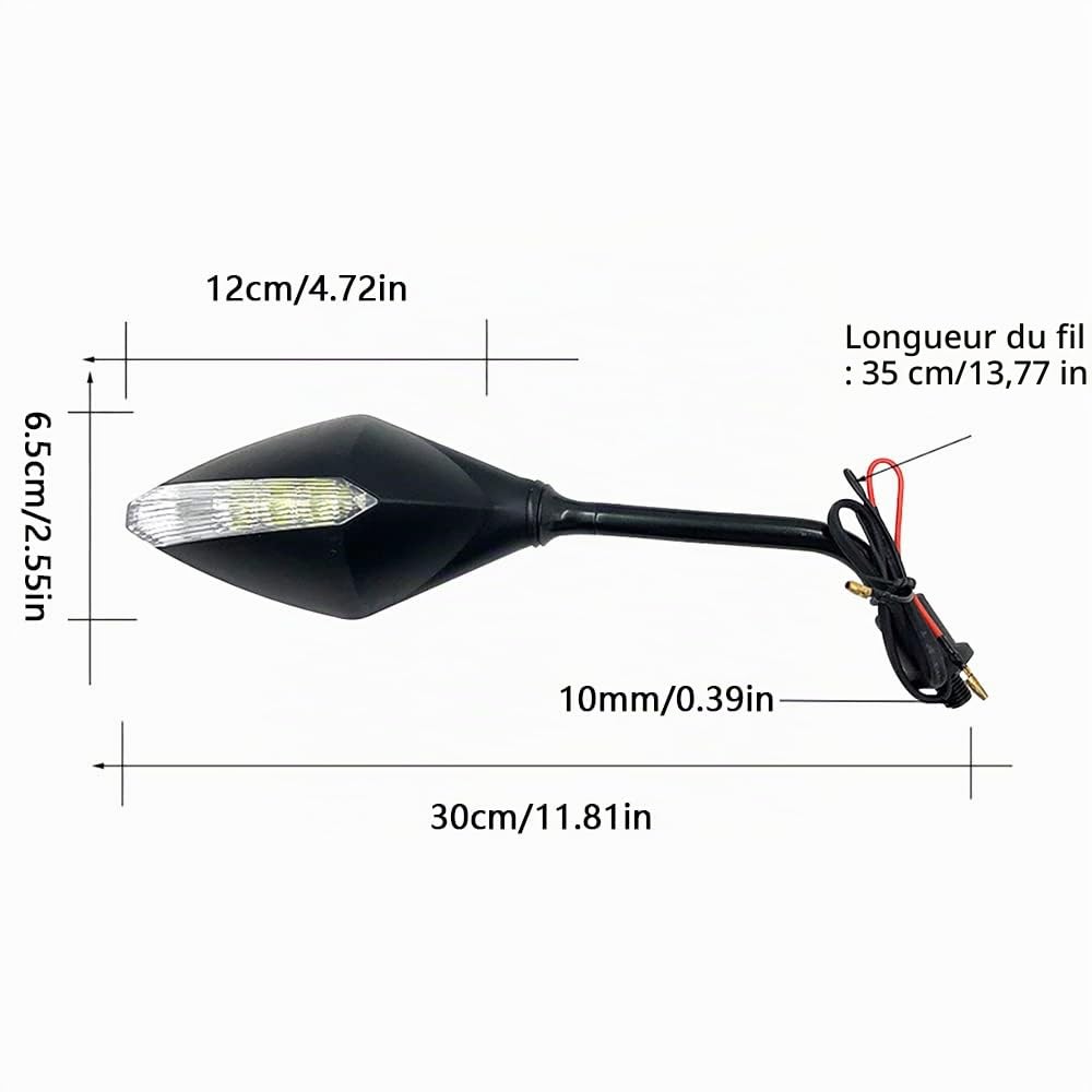 Rétroviseurs de moto Riloer, fer, rétroviseurs de moto en ABS avec verre haute définition, rétroviseur de moto à boulon de 10 mm avec clignotant