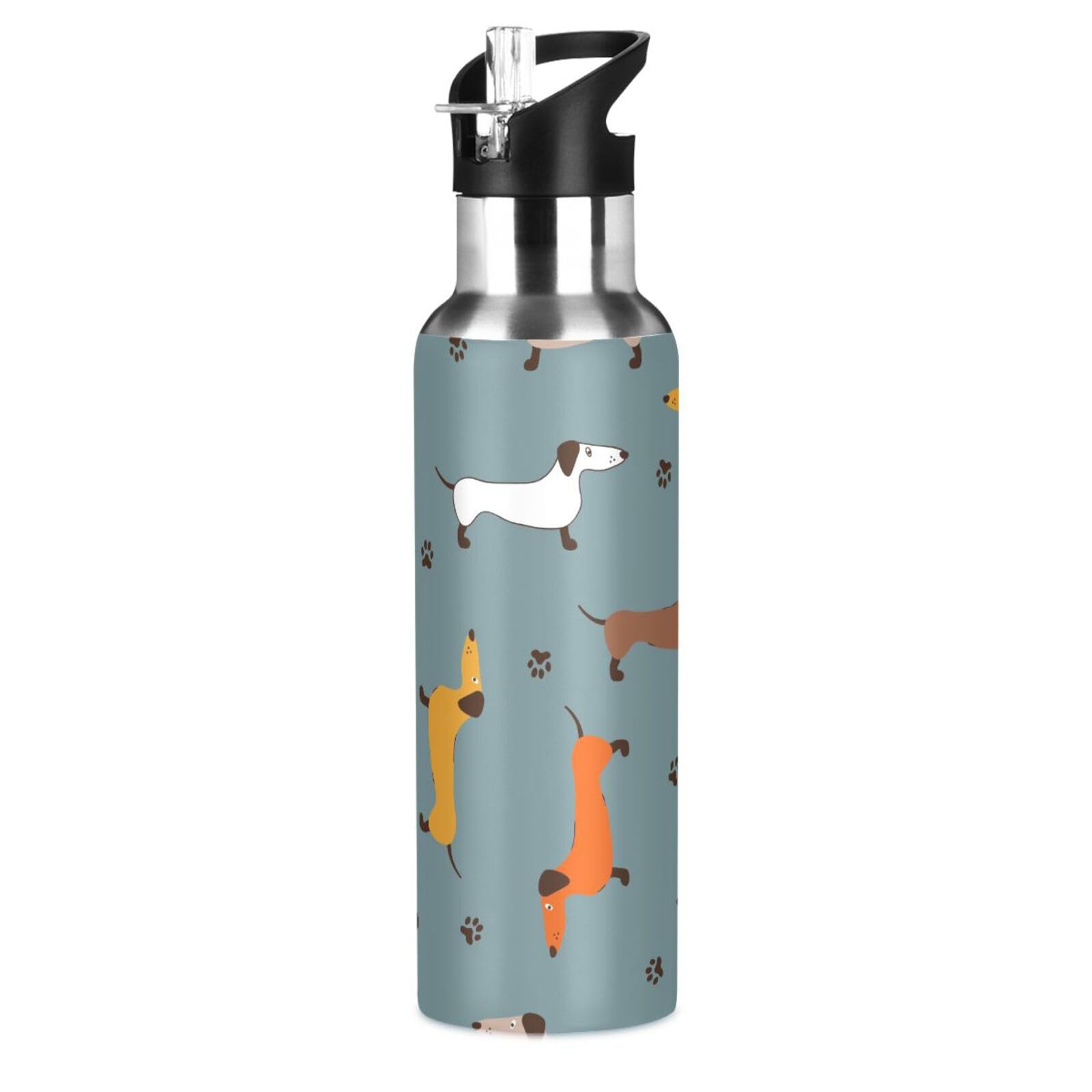 Botella de agua con diseño de perro salchicha para niños y niñas, termo aislado de acero inoxidable, botella de bebida al vacío, con pajilla, a prueba de fugas, deportes, 600 ml