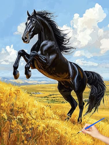 G n hG  Paint by Numbers io[yCg q S DIY Cheerful Painting H| |ph ANLbg l̂߂̃NGCeBuȎ av[g z[ ItBX̕Ǒ