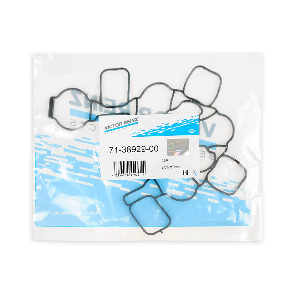 Kit di riparazione con guarnizione Victor Reinz + staffa di riparazione P2015 per VW Audi Seat Skoda con motori 2.0 TDI CR