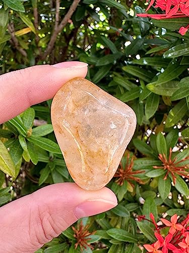 Image of GAF TREASURES 1 /2 LB Golden Healer Quartz Tumbled Stones, Polished Natural Golden Healer Quartz Gemstone, Golden Healer Quartz Healing Crystals (Golden Healer Quartz)