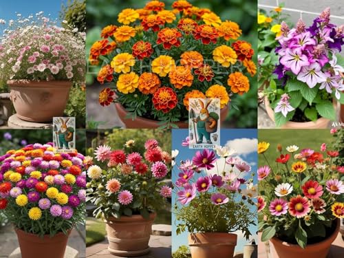 Image of Low Maintenance Hybrid Flower Seeds Combo Pack- All Year Flower Seeds Supply (20 VARIETY ALL YEAR PLANTING)
