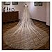 LNJMRU Fashion Luxury Wedding Veils for Brides Bling Gold 3 Meters Sequins Crystal Big Bridal Veils Wedding Accessories(Flower Gold)