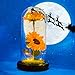 QUELIEN Sunflower Gift for Women,Sun Flowers Home Decor,Preserved Sunflower Bouquet in Glass Dome,Birthday Gifts for Her Mom