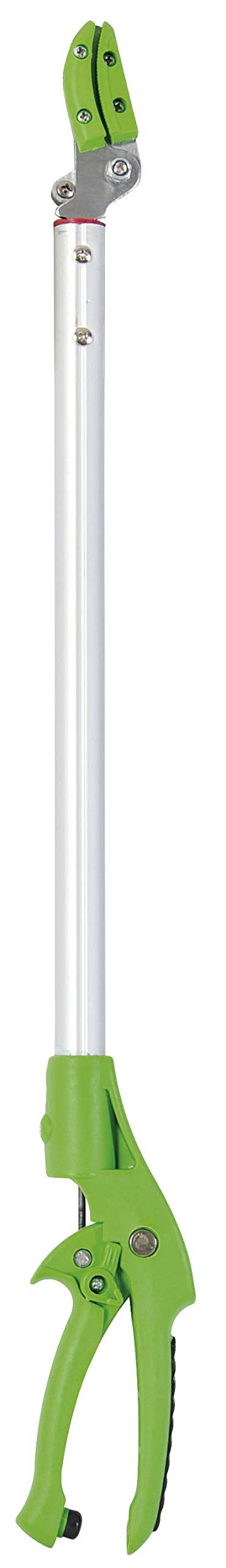 Verdemax 4385 Cesoia per Raccolta Asparagi, Verde