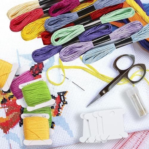 Peirich Kit de bordado para iniciantes, bolsa de projeto de bordado com fio de bordado, pano Aida, b