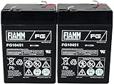 La batería en detalle: ▶ Batería de FIAMM | ▶ Tensión: 6V | ▶ Capacidad: 4500mAh/27Wh | ▶ Modelo: Lead-Acid | ▶ Medidas: 70mm x 48mm x 102mm |