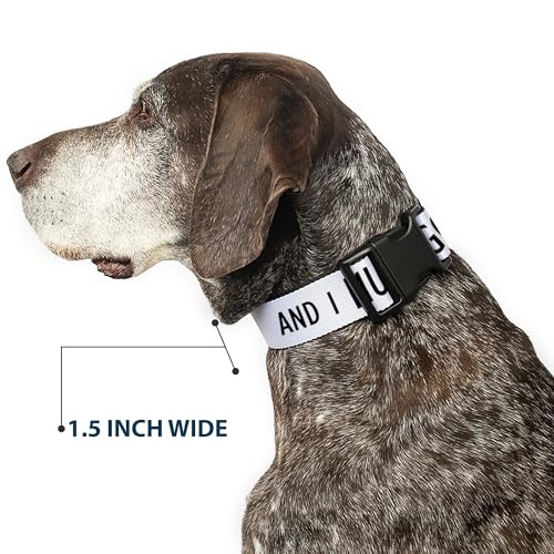 Collar de perro con clip anti tirones para paseos seguros en montaña 8