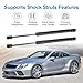 zayody Rear Tailgate Trunk Lift Supports Shock Struts Gas Springs Damper Compatible with Mercedes-Benz SL500 SL55 AMG 2003-2008 SL600 SL65 AMG Replacement for 6634 SG403056 PM2044 359167 2307500036