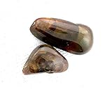 4.34 Gram 21.80 Ct Slaughter Mountain Az. Fire Agate Preform Cabochon CLOSEOUT