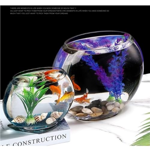 Acuario de vidrio ovalado transparente para peces pequeños y decoración 5