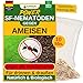 Produktbild GREEN GUARDIA Super SF-Nematoden gegen Ameisen  10 Mio. für 20m² - Biologisches Mittel zur effektiven Ameisen Bekämpfung  Umweltfreundlich, chemiefrei, einfache Anwendung