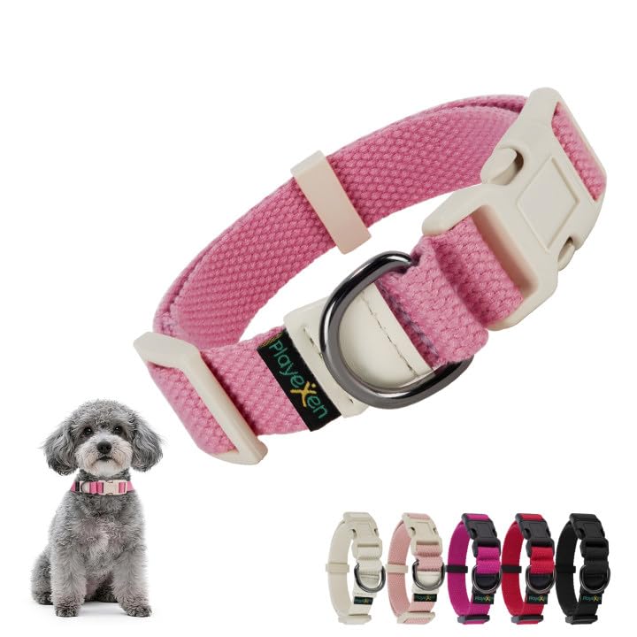 Collare Cane, Collare Regolabili in Morbido Cotone per Cani & Gatto Taglia Piccola Media Grande, Collari per Cane Personalizzato con Medaglietta Rimovibile, 25-40/2,0cm (S), Rosa Acqua