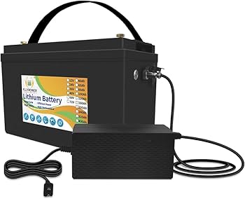 0813 12V 100Ah LiFePO4バッテリー スマートBMS キャンプ 0813 12V 100Ah LiFePO4バッテリー スマートBMS キャンプ 楽天市場