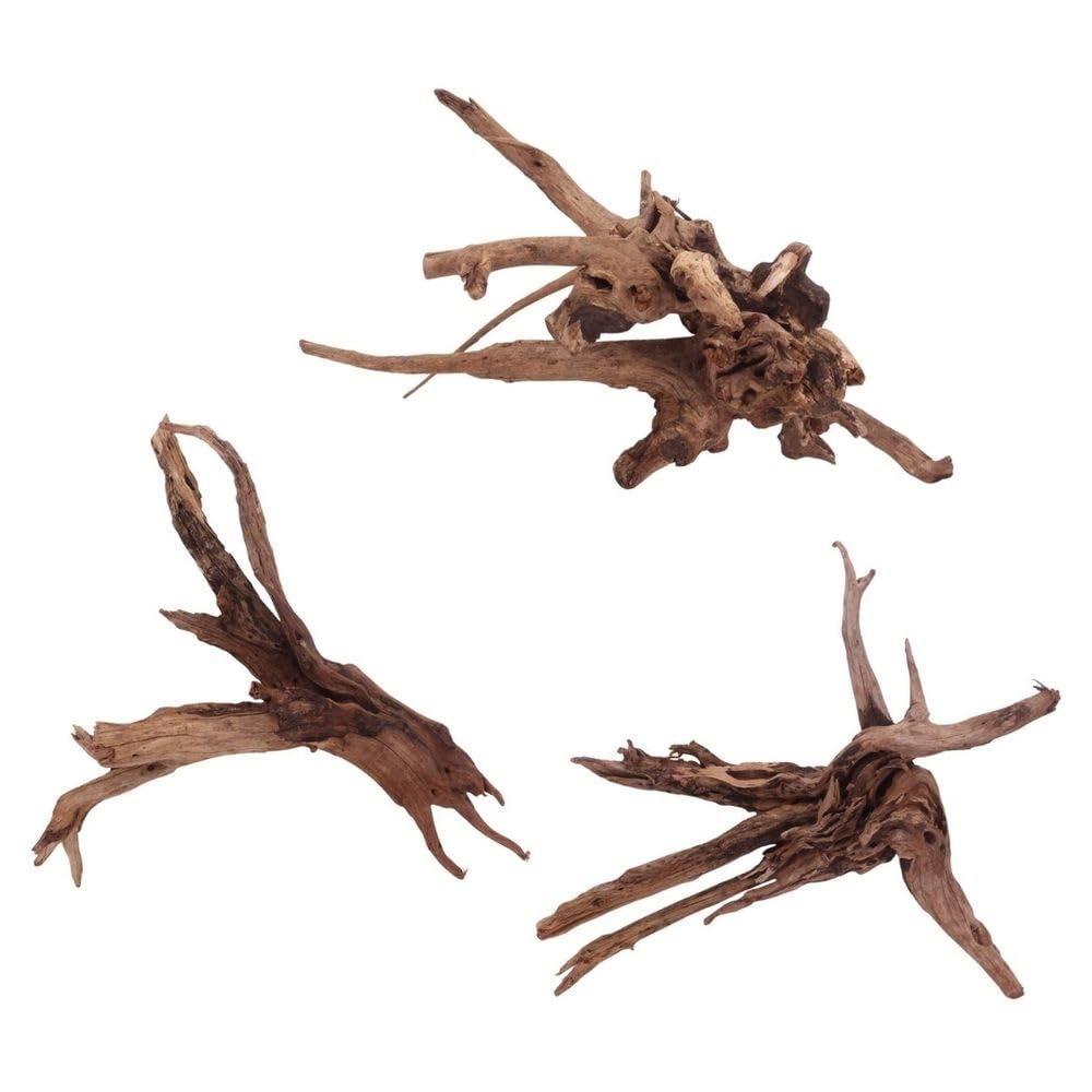 AquaOne Aquarium Wurzel Driftwood Flußwurzel XL 1 Stück Mangrove Holz Deko Aquascaping Dekoration Landschaft Moos Natur Echtholz