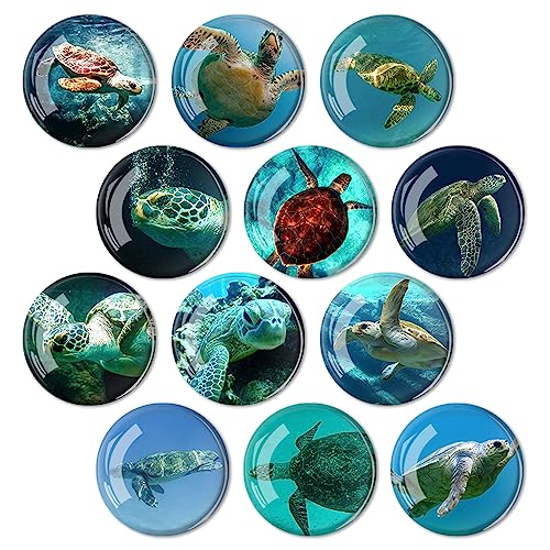 Imanes decorativos animales para refrigerador, pack 12 piezas