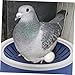 DRESSOOS 5pcs Pigeon Nest Bird Egg Pet Nest White Blue Durable Pigeon Nesting Bowls for Incubation Pet Supplies for Quail and Pigeon Breeding